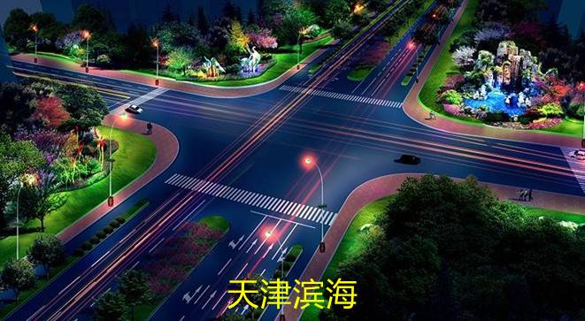 天津?yàn)I海智慧路燈